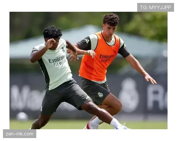 卡马文加赛场态度引发关注，专注表现赢得球迷赞誉