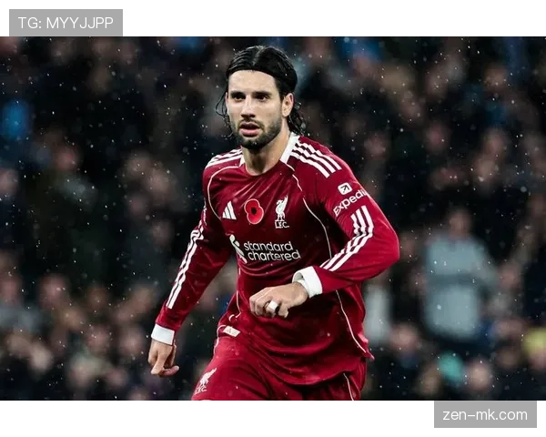 索博斯洛伊转会费创纪录，足坛新星闪耀绿茵场