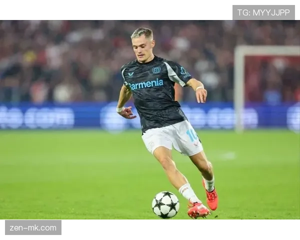 维尔茨技术全面性 维尔茨技术全面性